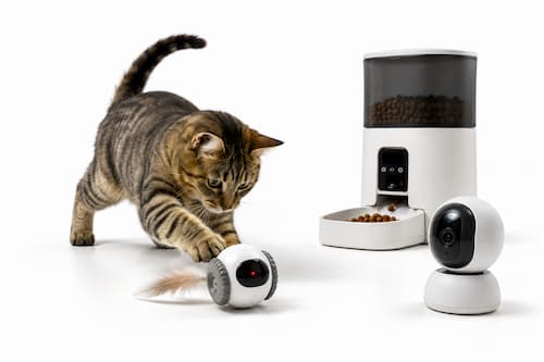 Un gato adulto curioso interactuando tranquilamente con un pequeño juguete robótico doméstico sobre fondo blanco puro. A cierta distancia aparece una cámara móvil doméstica compacta orientada hacia el gato y un dispensador automático sencillo con unas pocas croquetas.