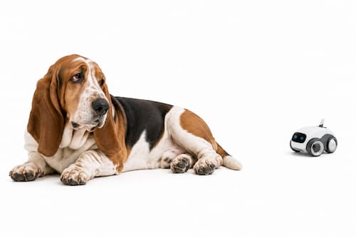 Un perro Basset Hound adulto permanece completamente relajado y desinteresado, tumbado cómodamente de lado mientras mira en otra dirección. A varios metros, un pequeño juguete robot interactivo está detenido y claramente ignorado. El protagonismo absoluto pertenece a la expresión tranquila y ligeramente indiferente del perro.
