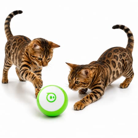 Bola robot programable con app mobil