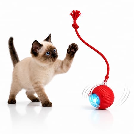 Bola robot t tenegil para gato