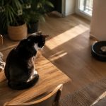 Gato tuxedo observando un robot doméstico antes de adaptarse a la convivencia en casa
