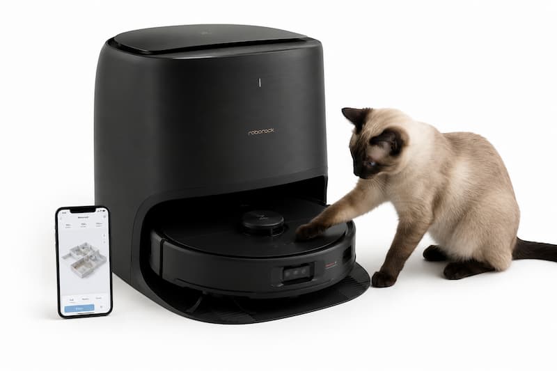 Roborock Qrevo Curv conviencia con gato siames