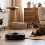 Gato siamés y gato europeo observando un robot doméstico silencioso en un piso pequeño