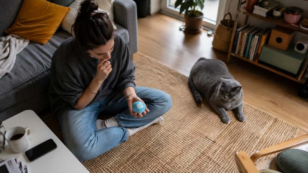 Persona valorando una bola robot para gato mientras el gato no interactúa en casa