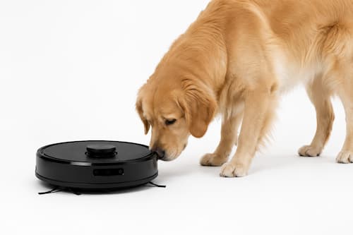 perro explorando robot aspirador con curiosidad