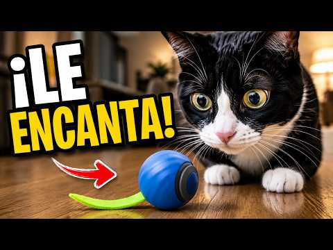 Ver vídeo en YouTube